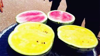 吃瓜爆料 热门大瓜每日必吃