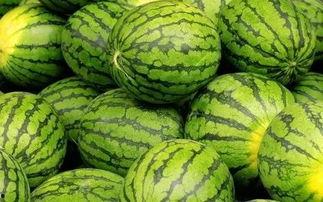 吃瓜网每日大赛 52爆料吃瓜网,每日大赛52期精彩爆料大汇总