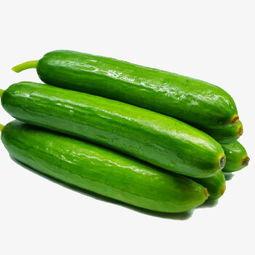 吃瓜视频天堂 朝阳吃瓜网